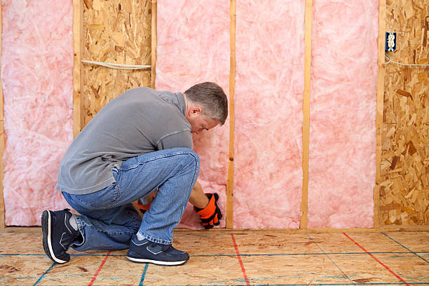 Best Professional Insulation Contractor  in Wahpeton, ND