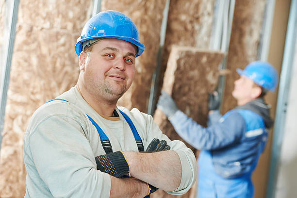 Best Cellulose Insulation  in Wahpeton, ND