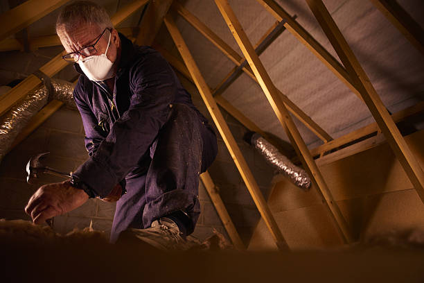 Best Attic Insulation Installation  in Wahpeton, ND