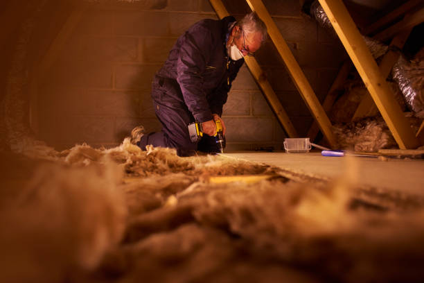 Best Home Insulation Services  in Wahpeton, ND